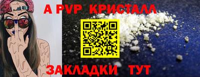 спиды Обь