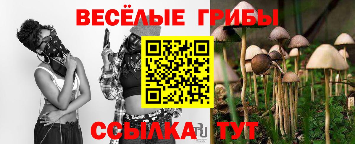 Галлюциногенные грибы MAGIC MUSHROOMS  даркнет сайт  Прохладный  Вход с VPN 