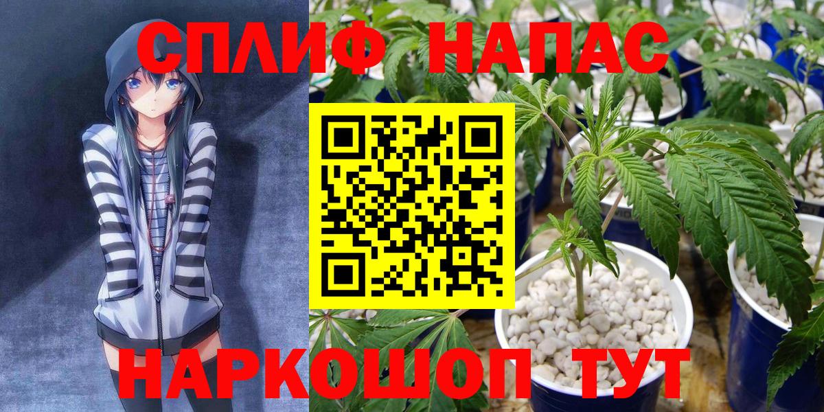 Марихуана планчик  Вход с VPN  Бошки марихуана OG Kush  Шишки марихуана Amnesia  Прохладный 